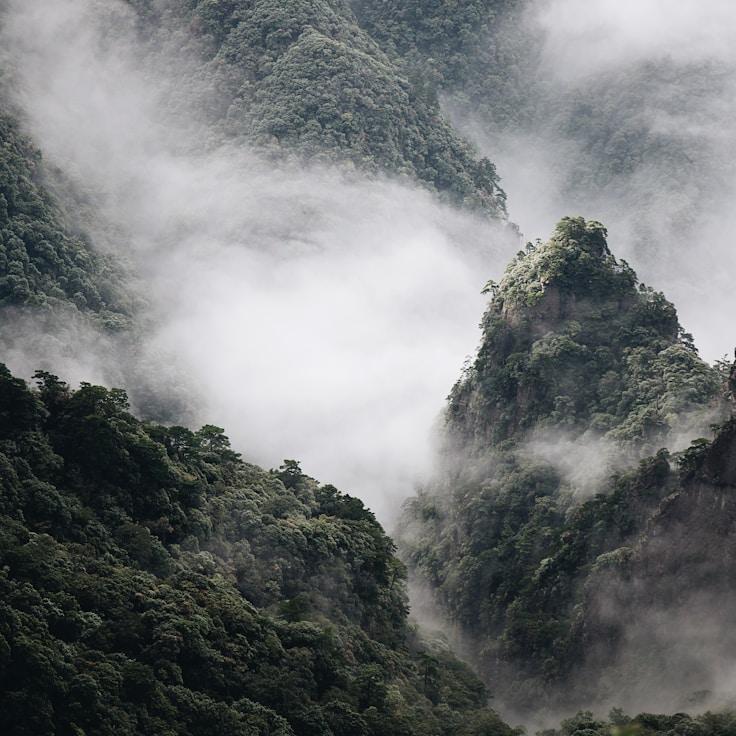 Nature travel hero image